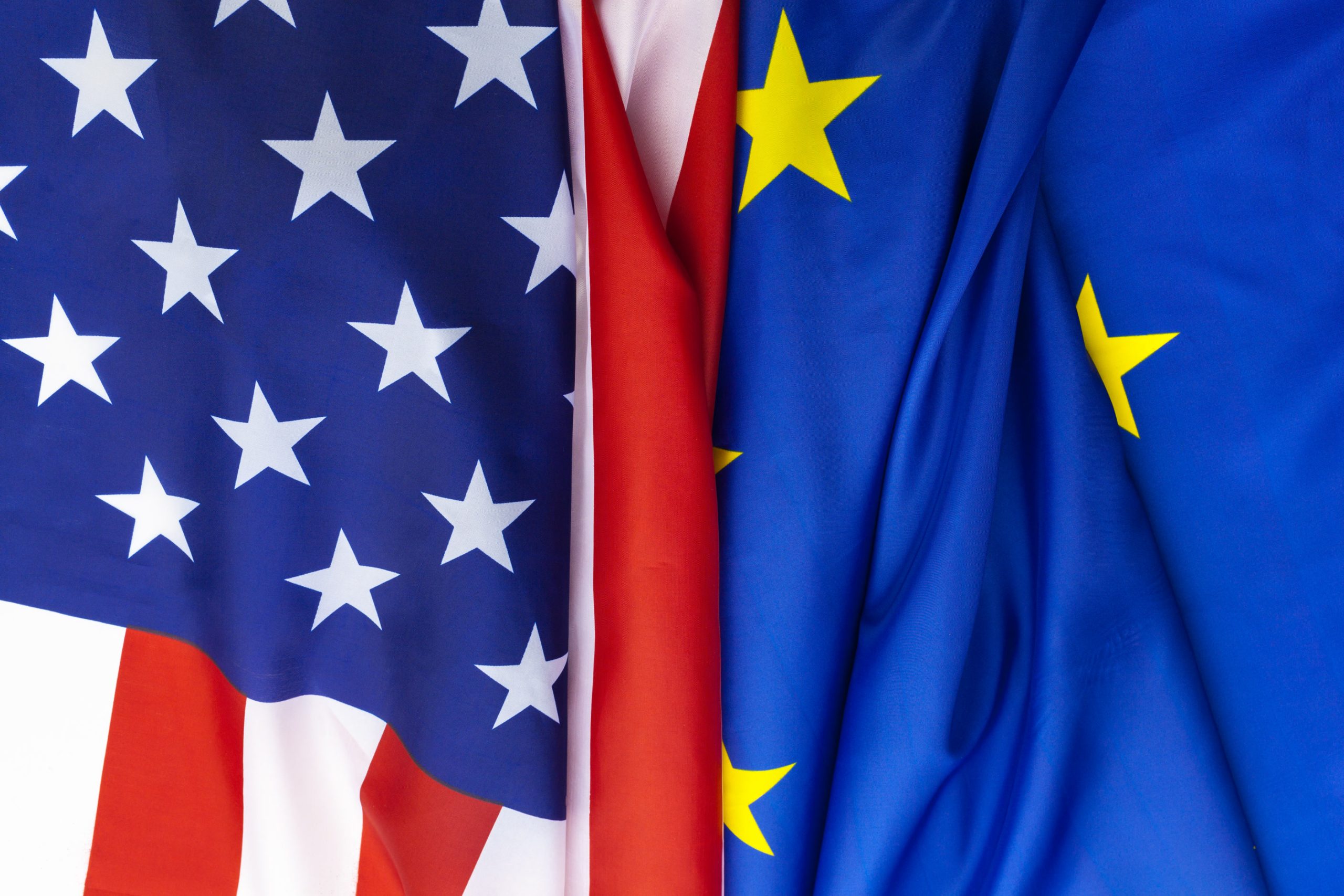 Bionic Leadership | Matthias Altendorf