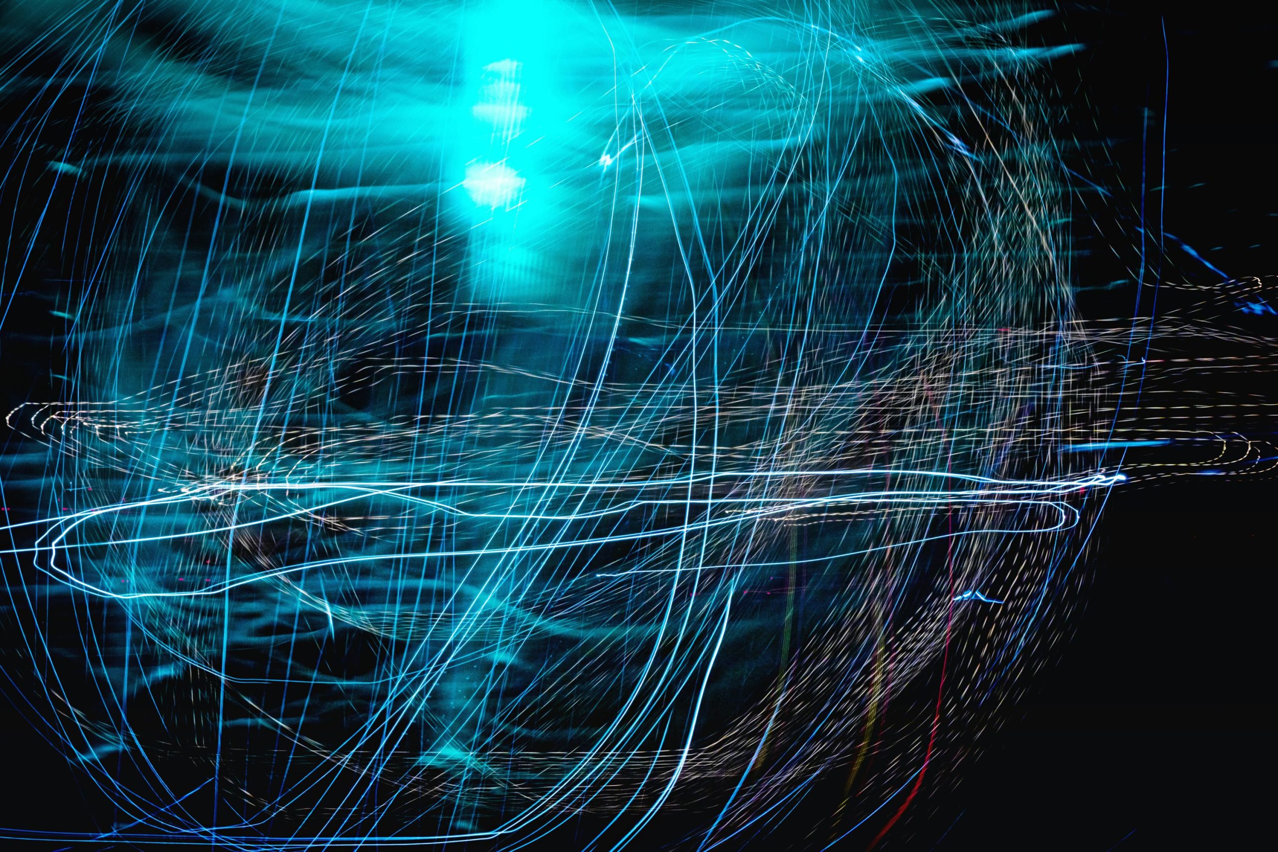 Bionic Leadership | Matthias Altendorf